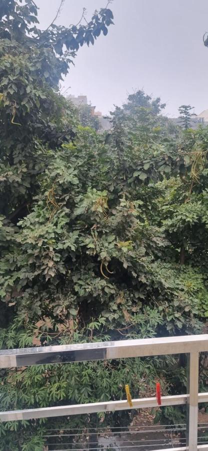 Rm Homes Gurgaon Dış mekan fotoğraf